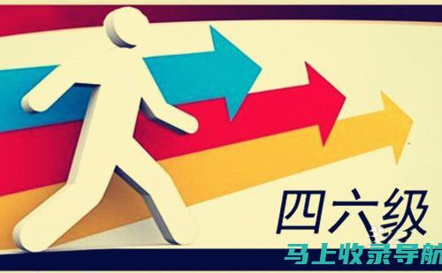 四级查询入口与其他平台的对比分析，找出最佳选择