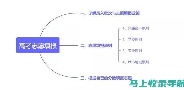 解析高考志愿填报网的功能，让志愿填报变得简单而高效