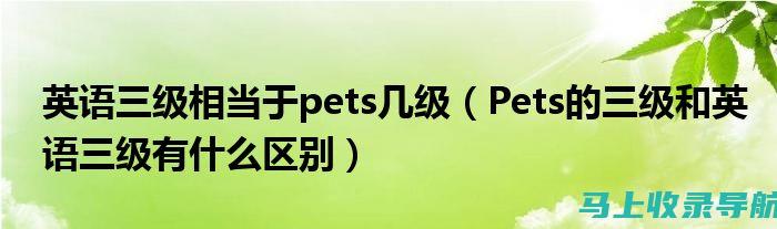 pets3成绩查询流程详解：从注册到获取结果的全步骤