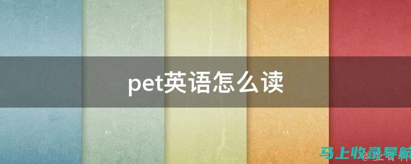 如何在pets3成绩查询中避免误区，获取准确分数？