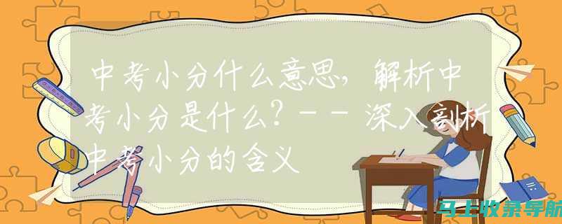 全面解析中小学教师资格证面试成绩查询的流程与要求