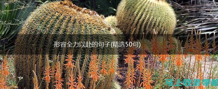 全力以赴！掌握湖北省公务员考试报名时间，赢在起点