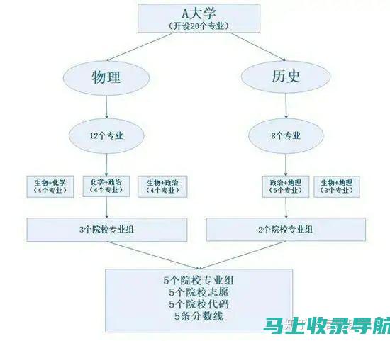 河北八省联考成绩查询方式多样，最便捷的查分方法推荐