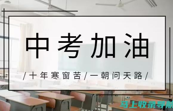 临沂考试网的最新动态与政策解读：考生不容错过的信息