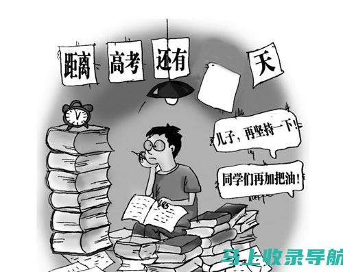 高考学习网的定制化服务：因材施教，让学习更个性化