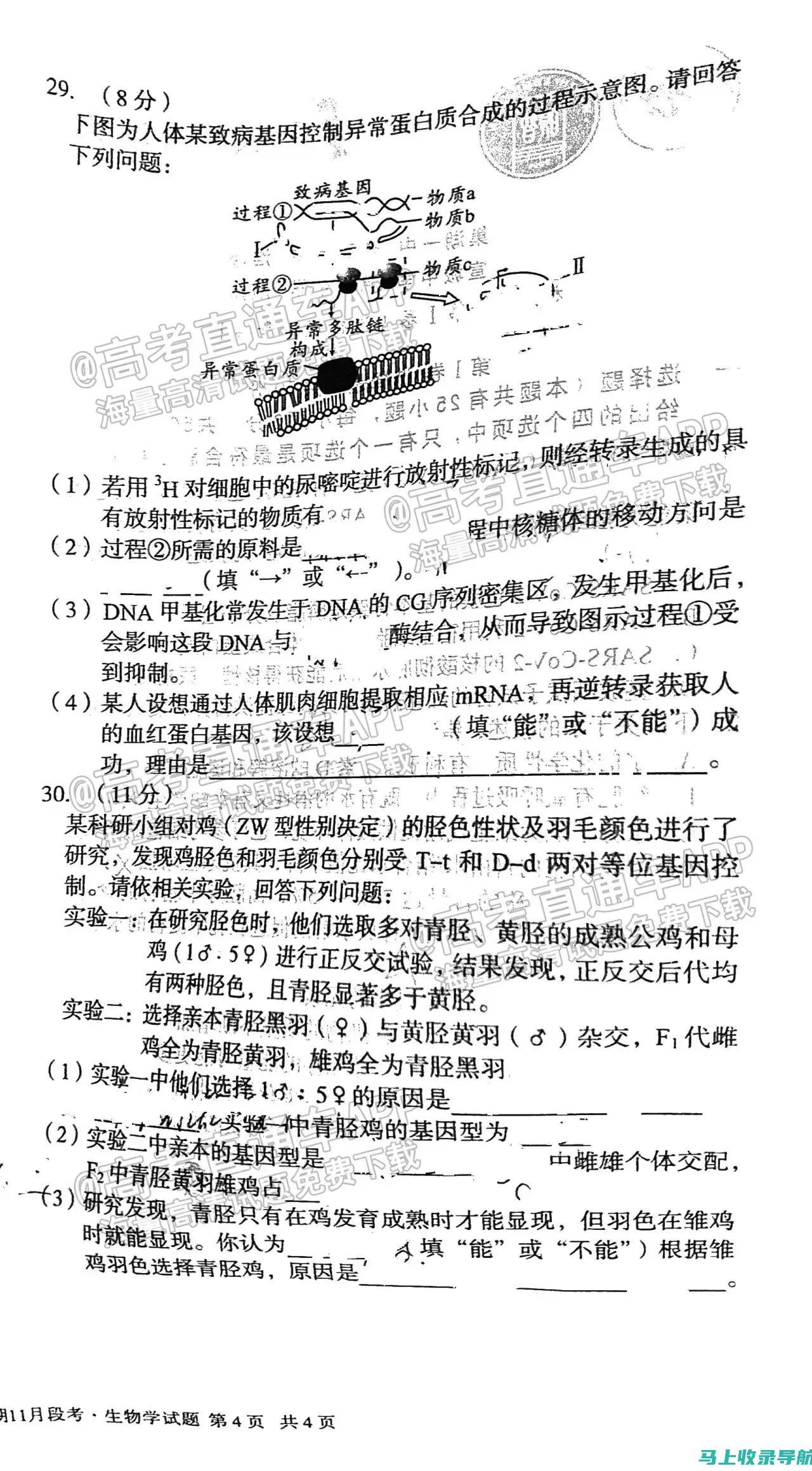 详解www.ntce.cn中小学教师资格考试网的各类资源与备考资料下载