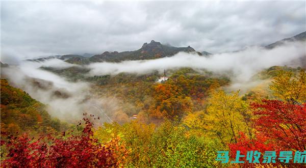 探索吉林省自考信息网，了解自学考试的各类资源与支持