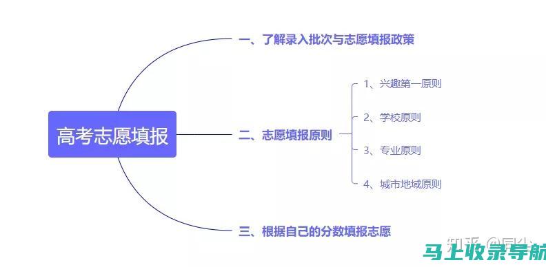 利用高考填志愿系统优化填报方案，提升录取概率的方法