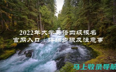 四级报名官网入口大揭秘，助你顺利踏上考试之路