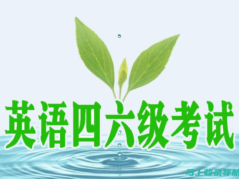 六级查询入口的实用技巧，助你在学业和职业中脱颖而出