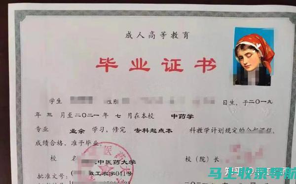 通过成人高考模拟试题，找到适合自己的复习节奏与策略