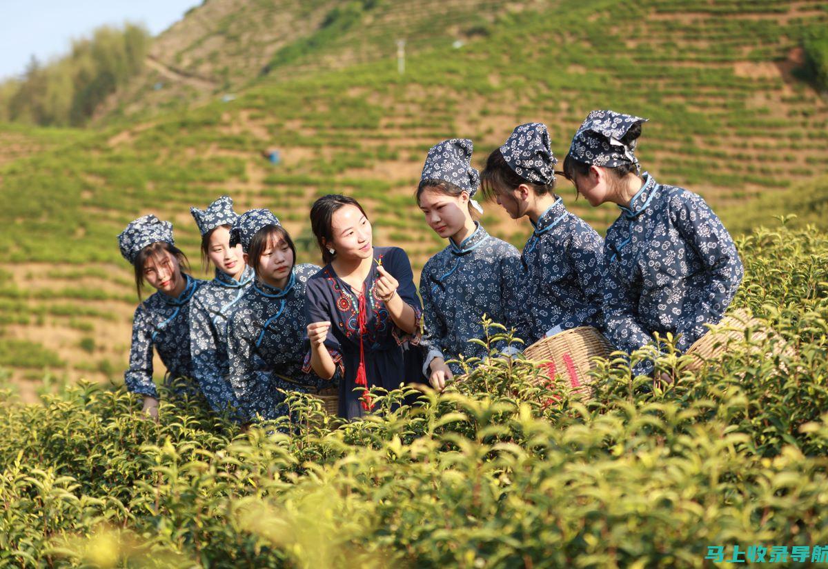 轻松掌握江西自考网成绩查询技巧，提升查询效率