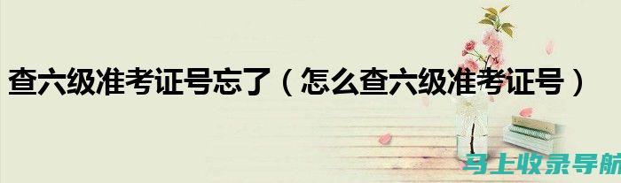 身份证查六级成绩遇到问题怎么办？教你逐步排查解决