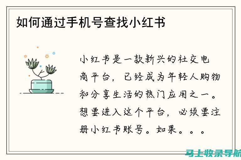 如何通过2021年高考成绩查询入口获取详细成绩单和复核流程