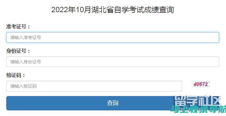 自考成绩查询系统的用户界面设计分析：从美观到实用的转变