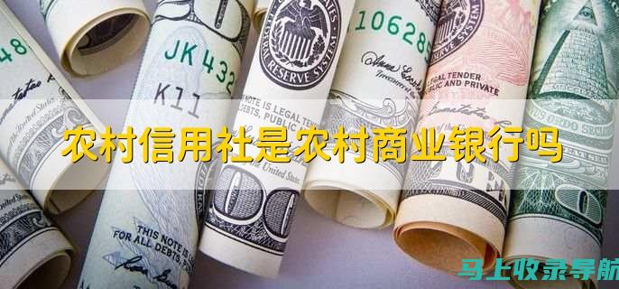 农村信用社成绩查询的改革与创新：未来趋势分析