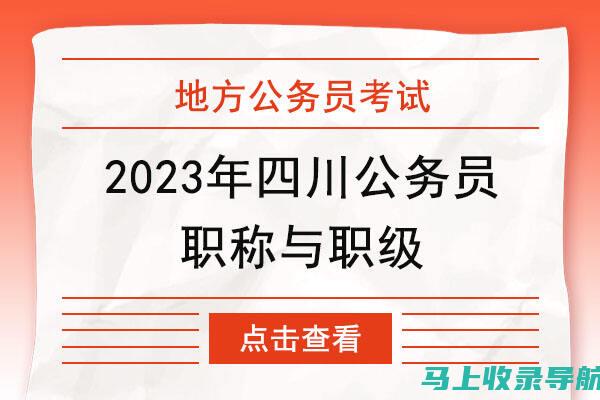 四川省公务员考试成绩查询：应对成绩发布的技巧与建议