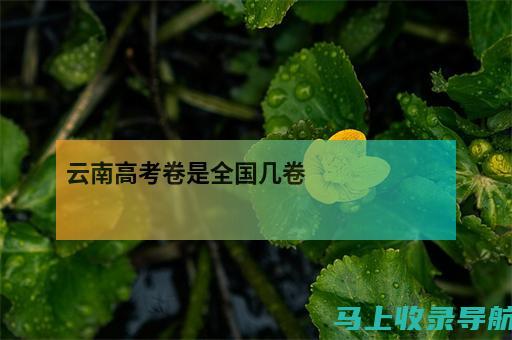 云南省高考查分常见问题解答，解决你的一切查分疑惑