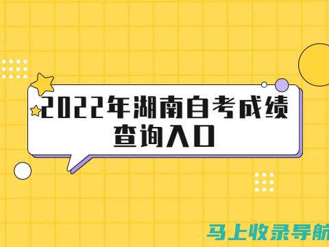 湖南自考成绩查询的最新政策与动态：考生需关注的信息