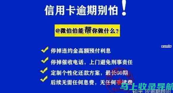 全面解析信用社考试成绩查询的渠道与技巧，确保信息准确