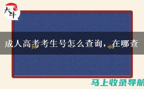 考生号查询所需信息一览表，准备不再繁琐