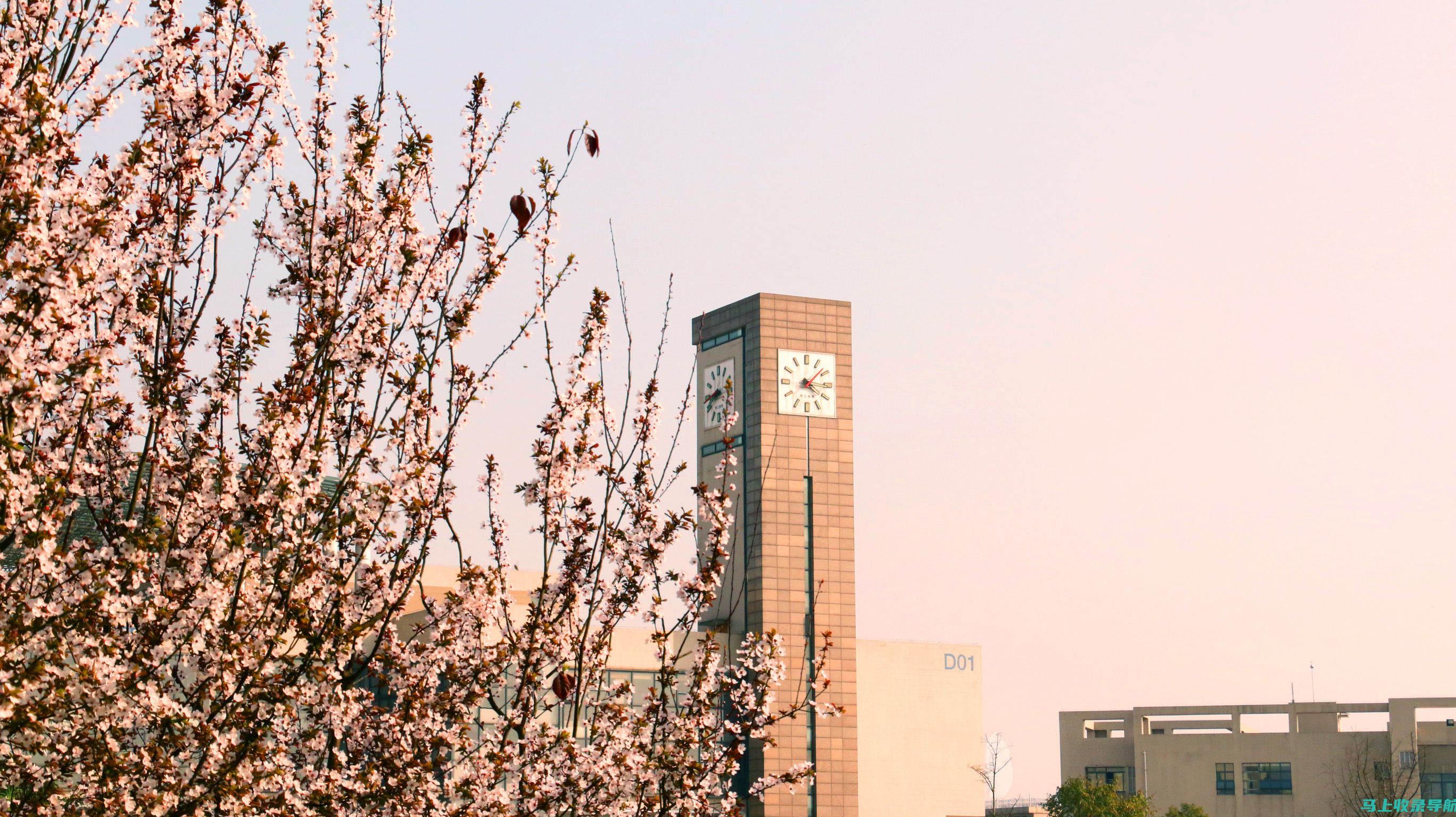 重庆交通大学专科分数线的历史数据解读，指导未来的选择