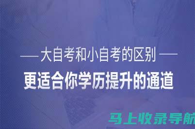 东莞自考成绩查询指南：从登录到查看的全流程详解