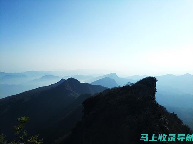 考生必看：山东选调生报名入口相关政策与报名要求