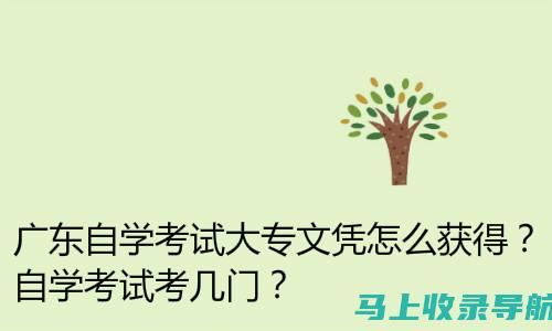 广东自学考试成绩查询全攻略：从线上到线下，全面解析查询渠道