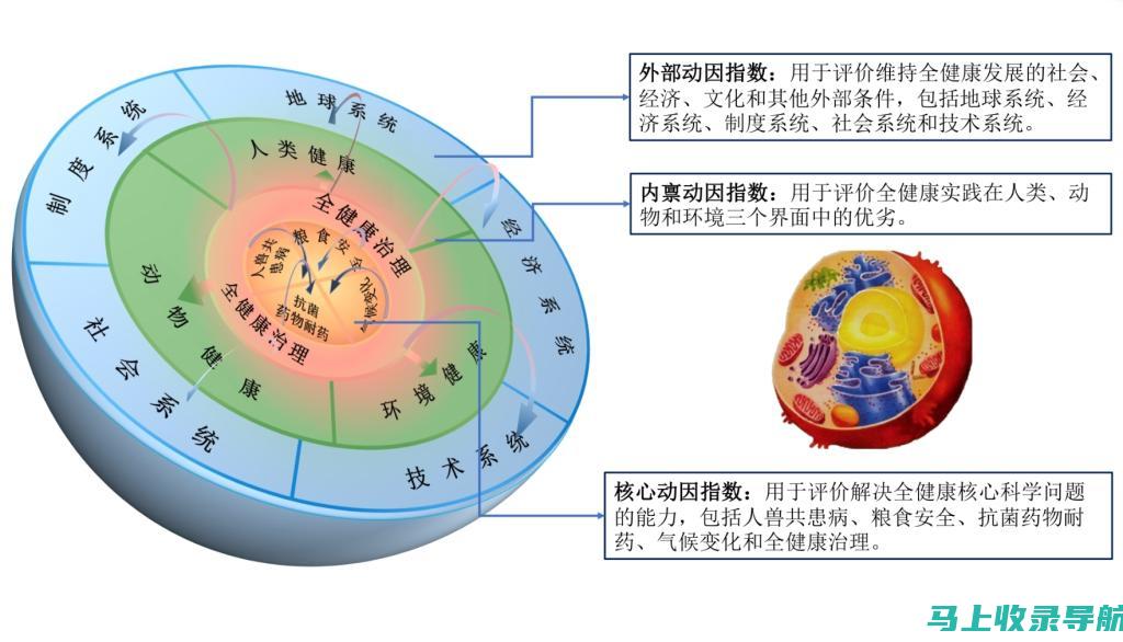 全方位解读健康助手软件，探索其在健康管理领域的应用与价值