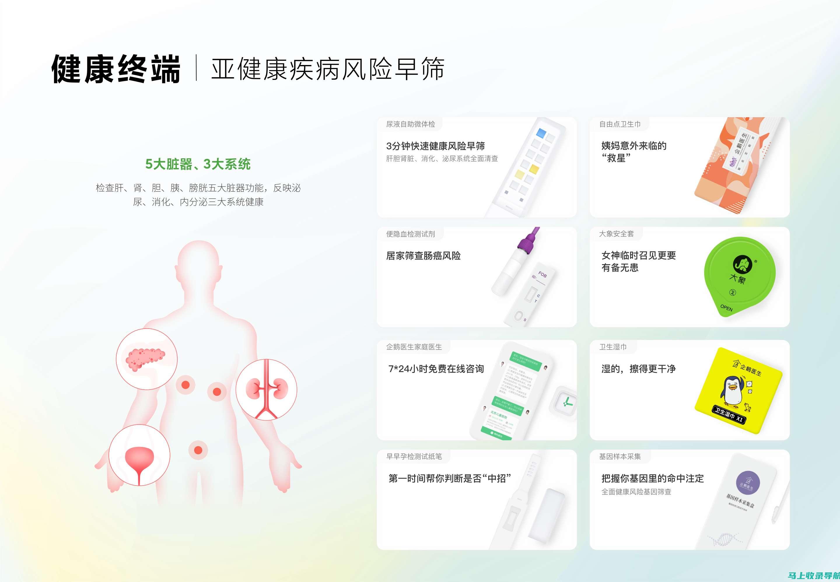 性与用户反馈综合分析