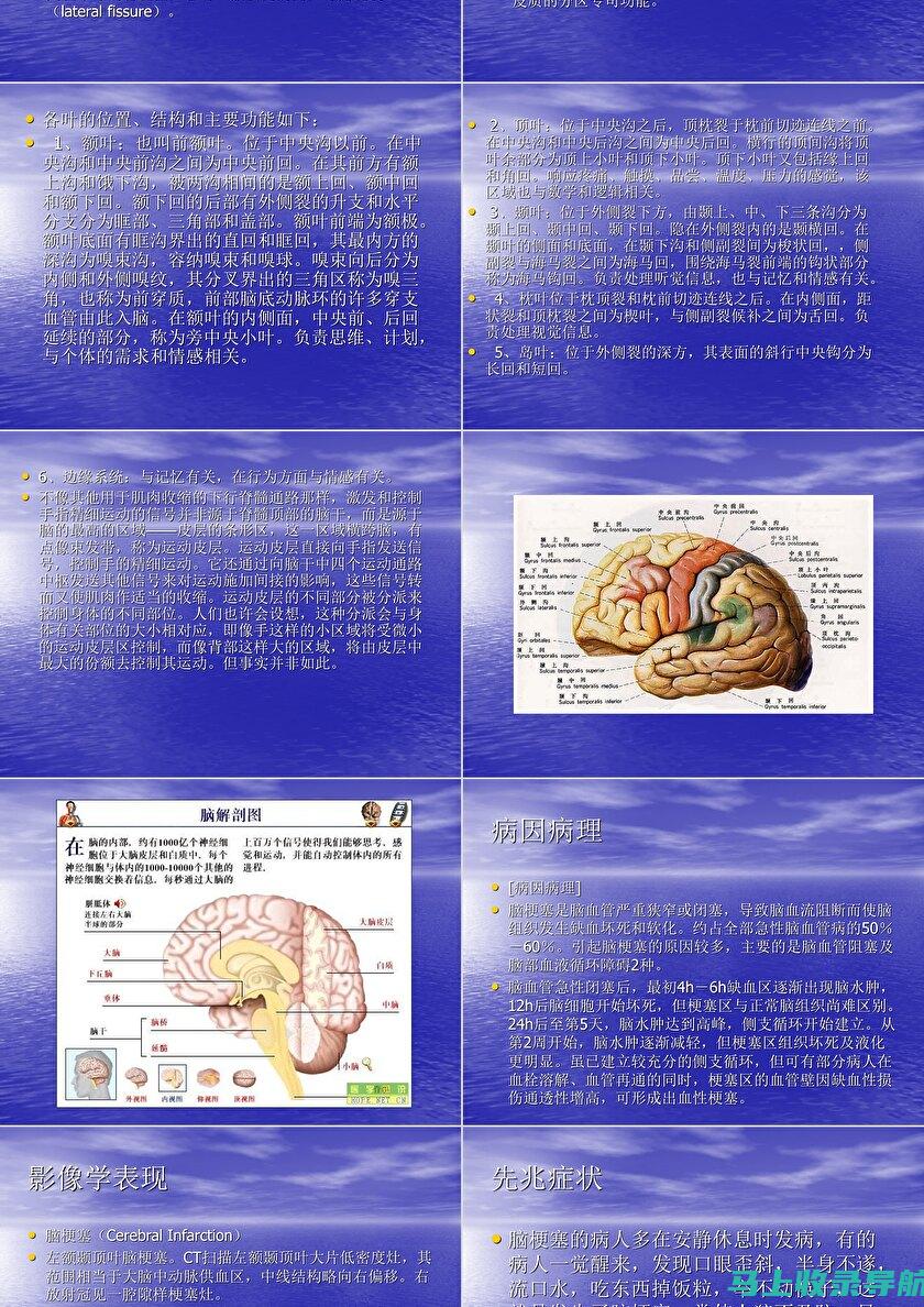 最新指南：如何轻松下载安装爱助手软件