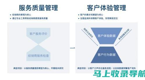 用户体验至上的AI助手：哪个更受青睐？