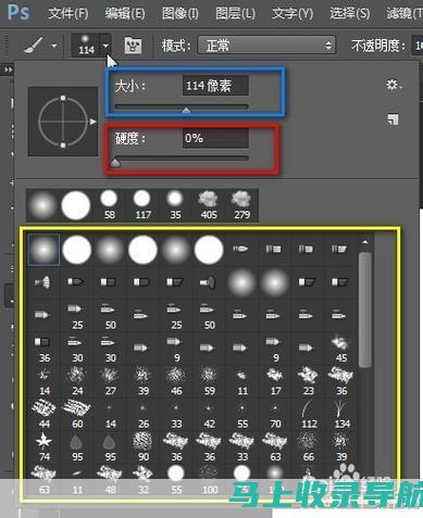 从初学者到专家