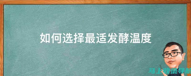 如何选择最适合你的AI简历模板