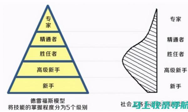 从新手到专家：AI绘画软件的使用指南