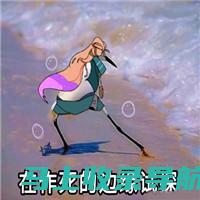 违法边缘的试探：AI绘画软件破解版的安全隐患与风险