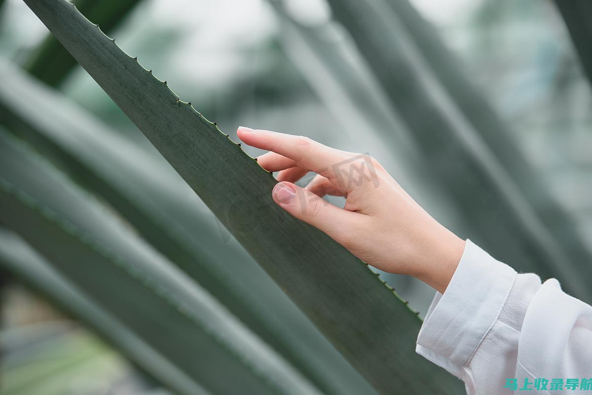 最新推荐！手机AI智能绘画生成器免费网址汇总