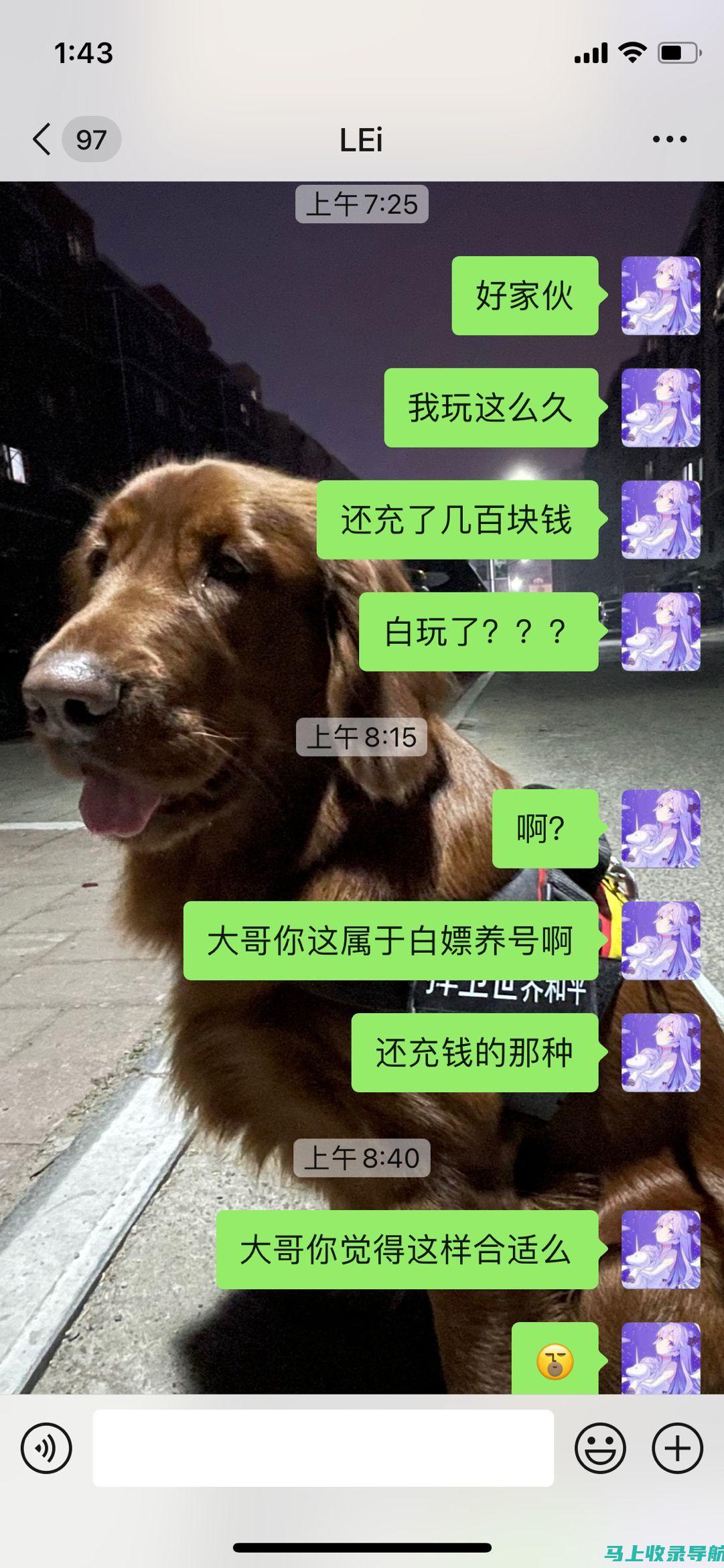 不花钱也能玩转AI绘图，多款实用软件等你来体验