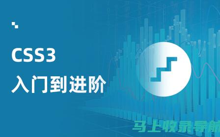 从基础到进阶：全面解析AI教育的含义与实践