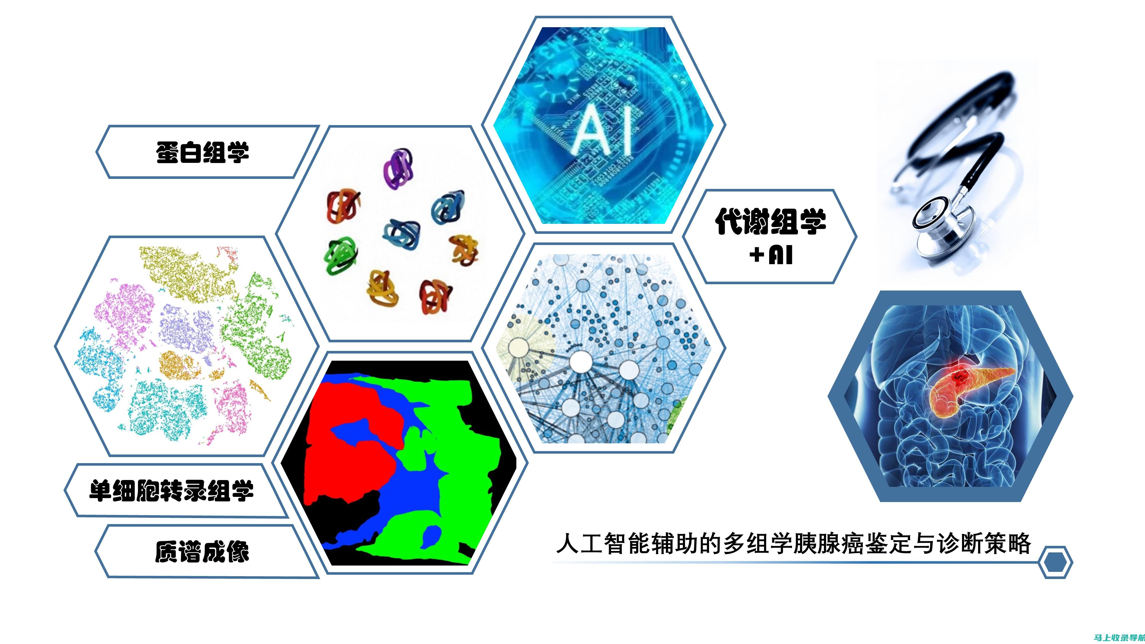 人工智能辅助教育决策：智能化管理的未来趋势