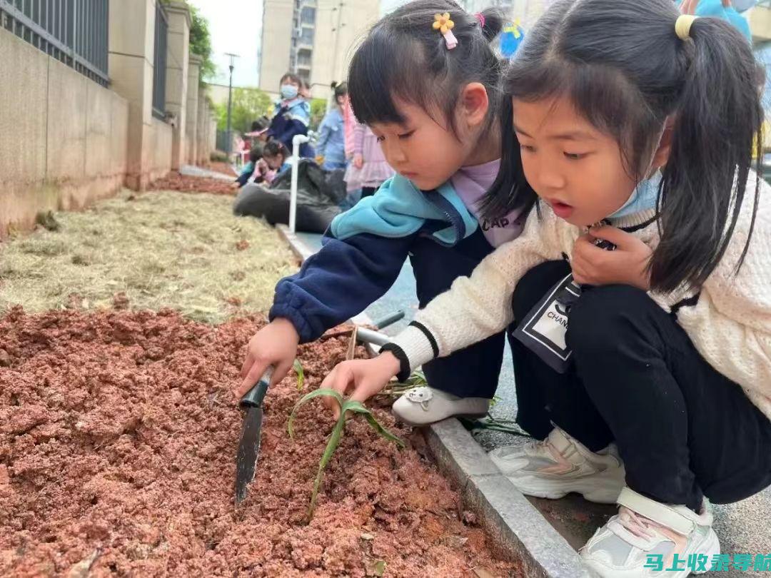 为孩子们播种梦想：热爱教育人的真挚情怀