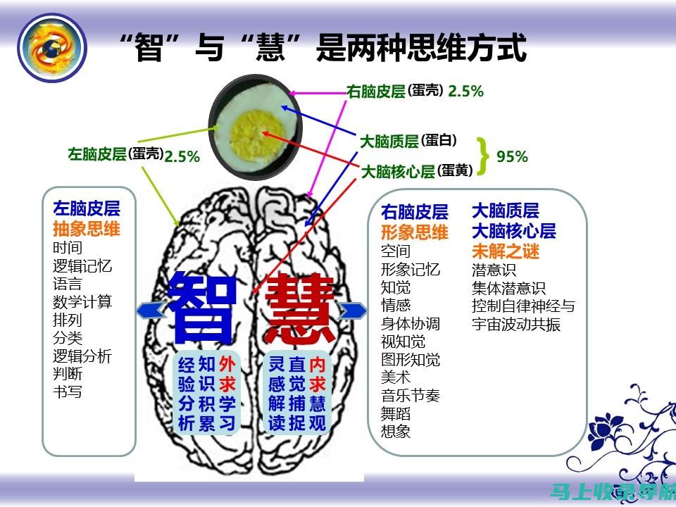 深入了解：智能教育机器人的价格及其影响因素