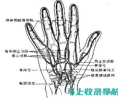 9. 一文掌握爱教育平台小学报名全过程