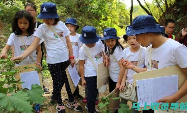 初中生福利！这些免费学习网站让你轻松逆袭学霸