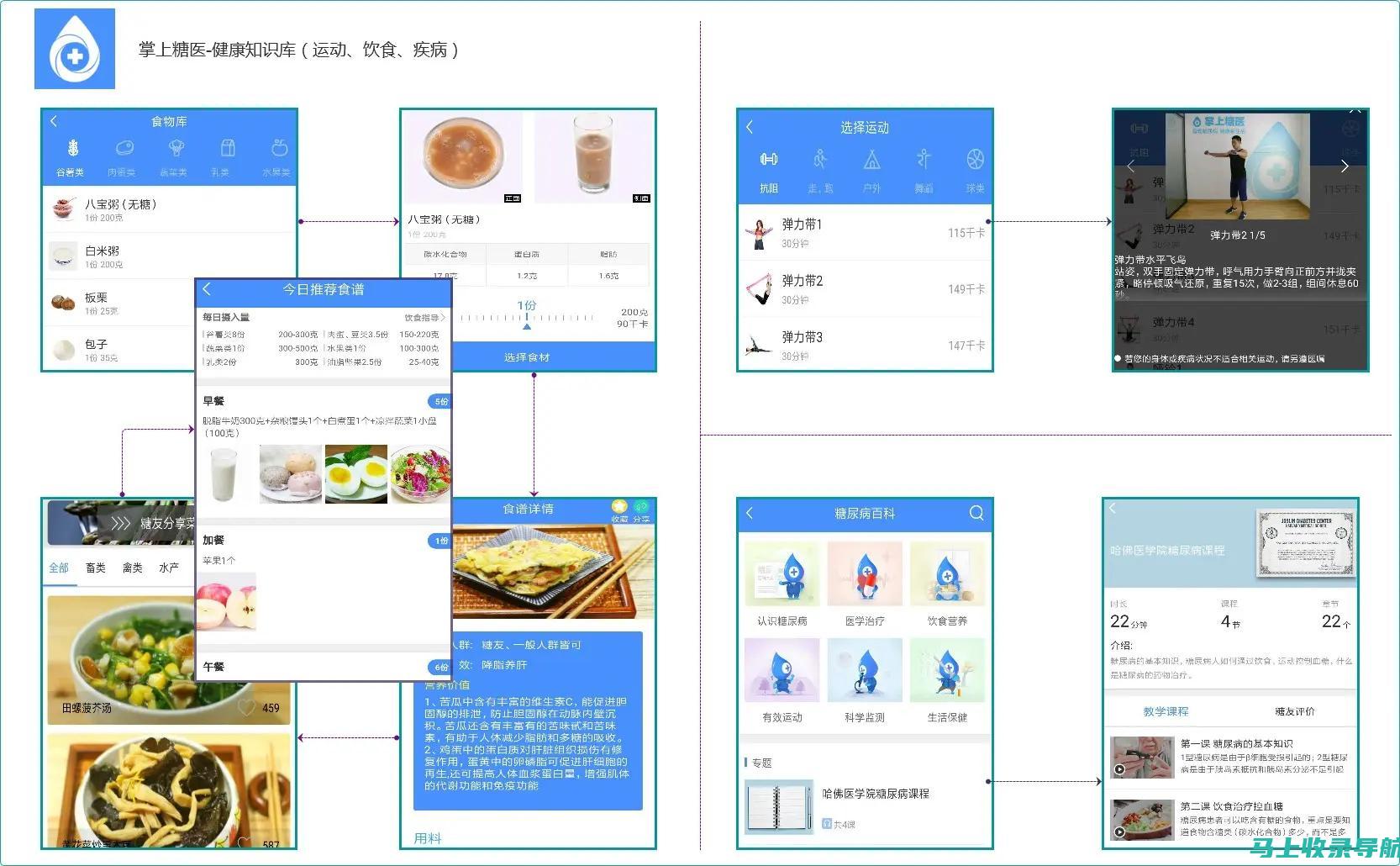 健康助手App数据库设计概览：创新概念与精细逻辑的结合