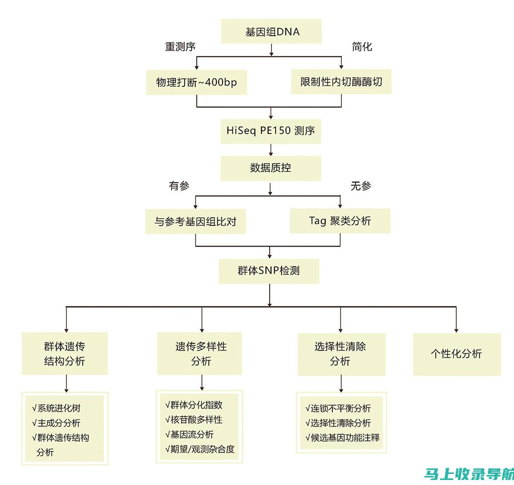 从技术角度探究AI健康助手的问答功能实现