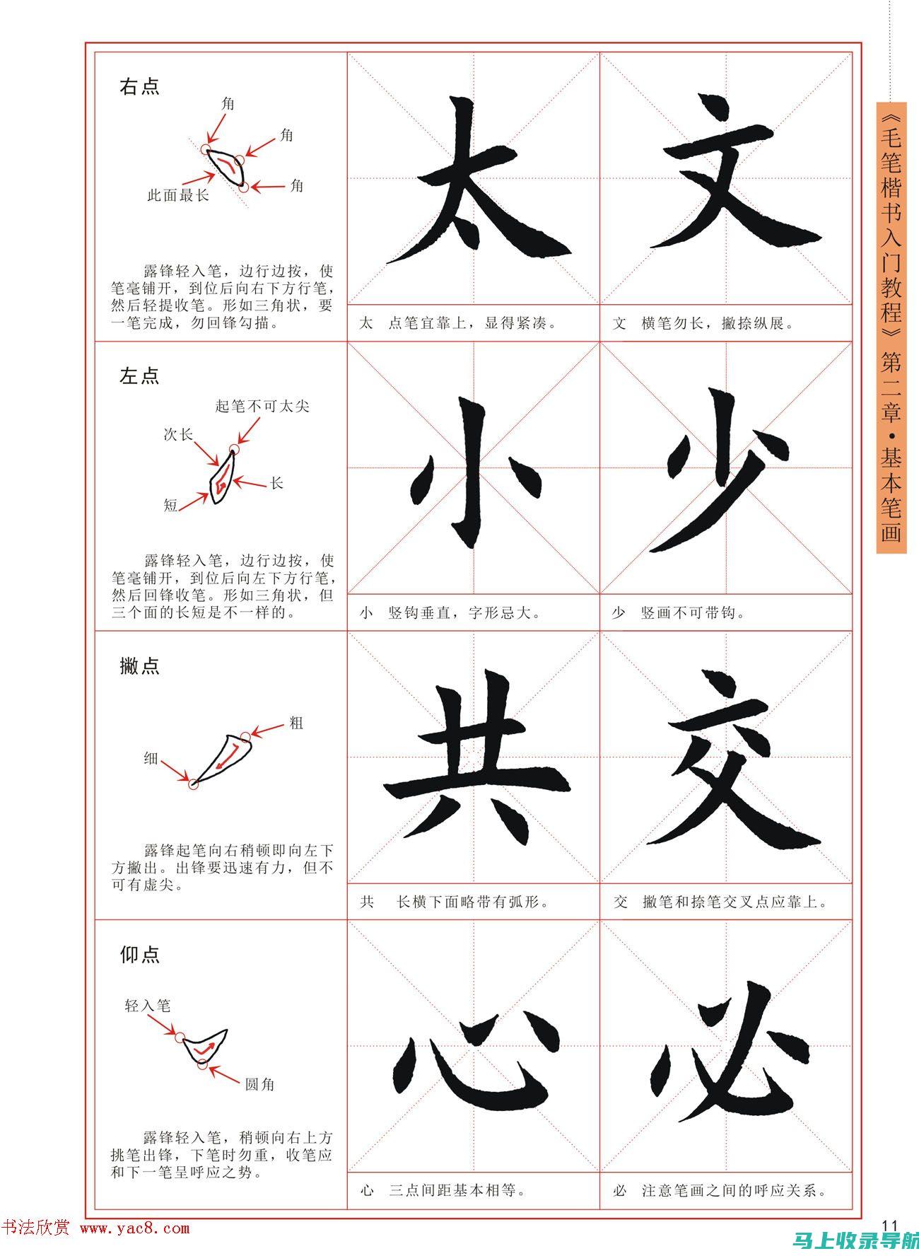 初学者指南：理解AI健康助手的登录方法与意义