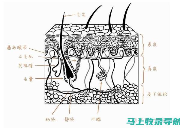 想要了解皮肤健康？试试百度问医生的免费皮肤科咨询服务