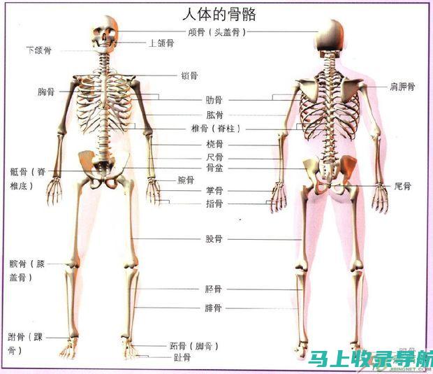 医学生模型在模拟临床实践中的优势与挑战